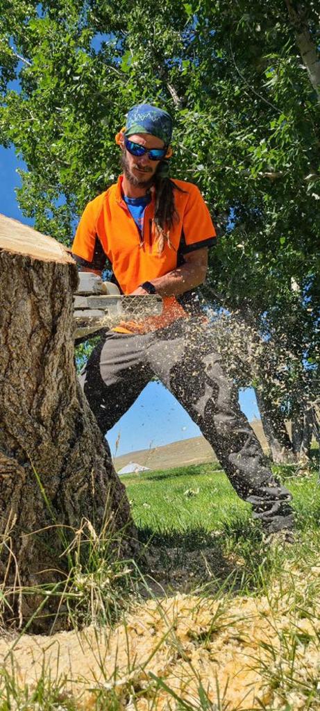 Certified Arborist Middleton Idaho