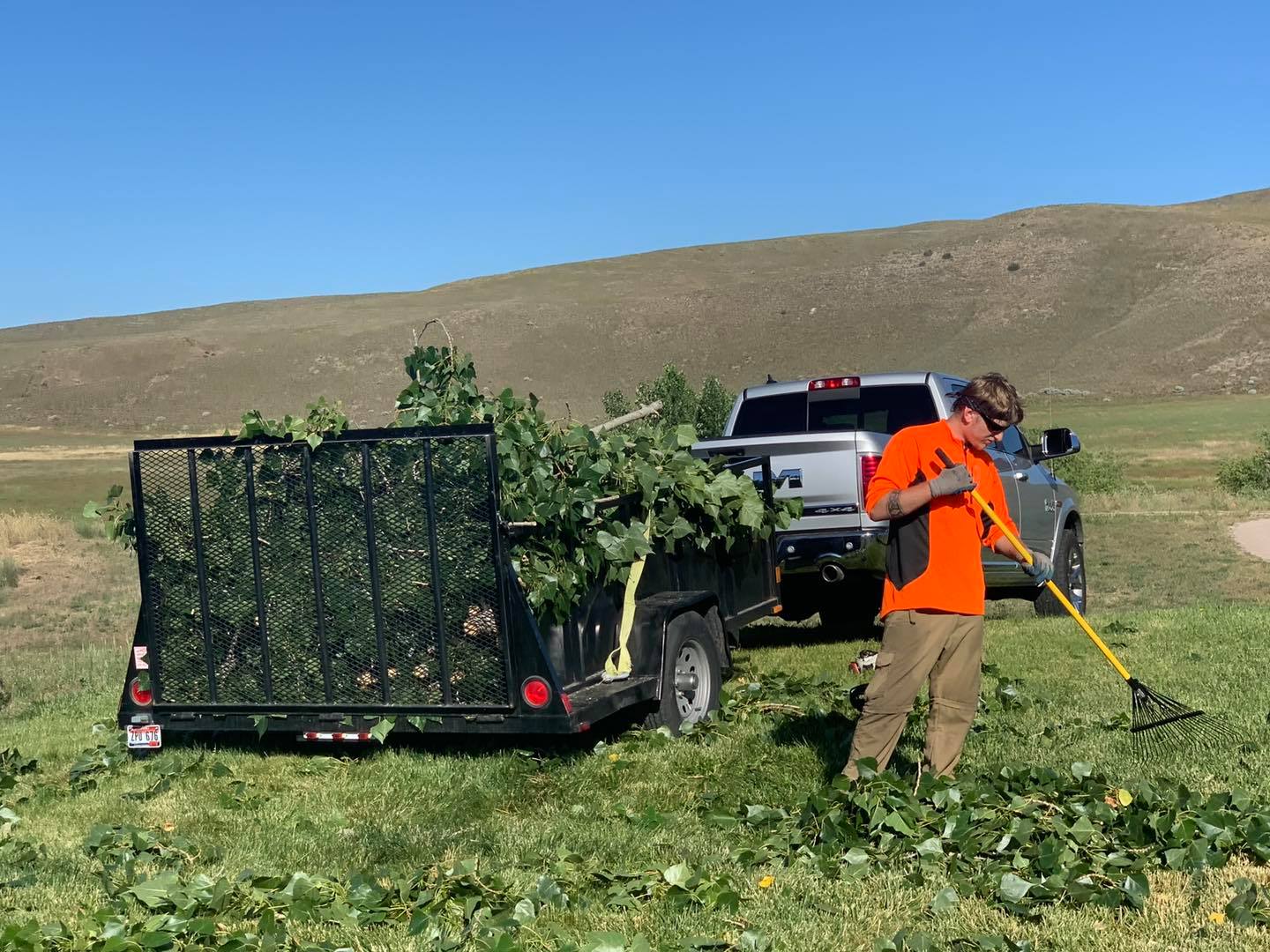 Stump Grinding Boise Idaho